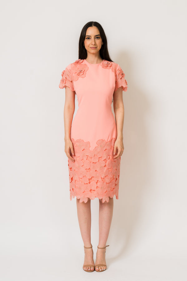 Coral