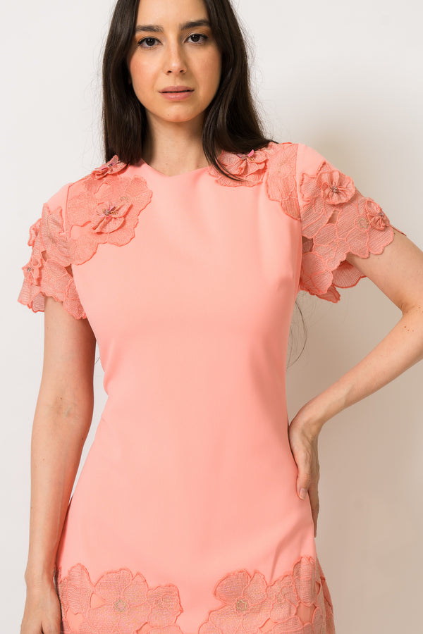 Coral