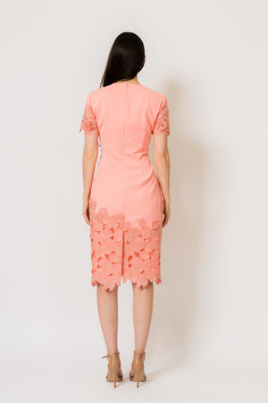 Coral