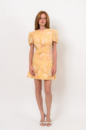 Helsi