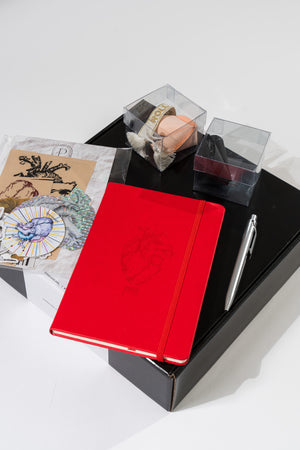 The Journal of Thoughts