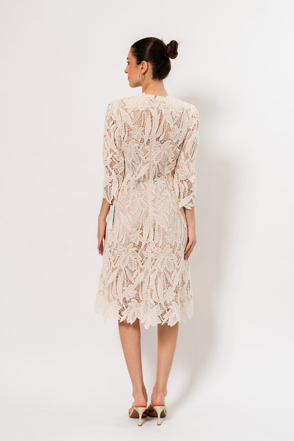 Lace
