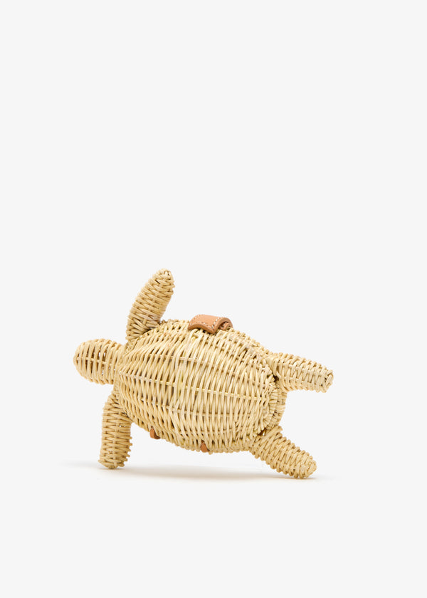 The Tortoise